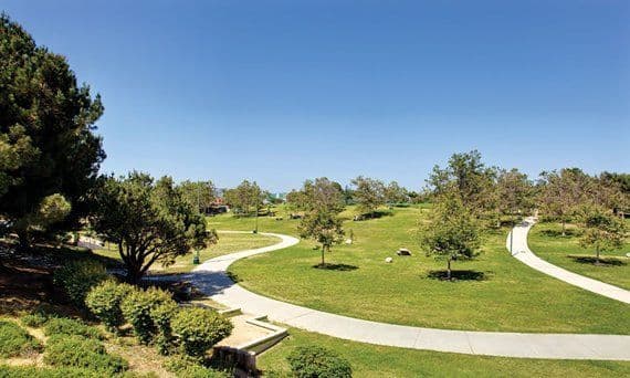 Pan Pacific Park